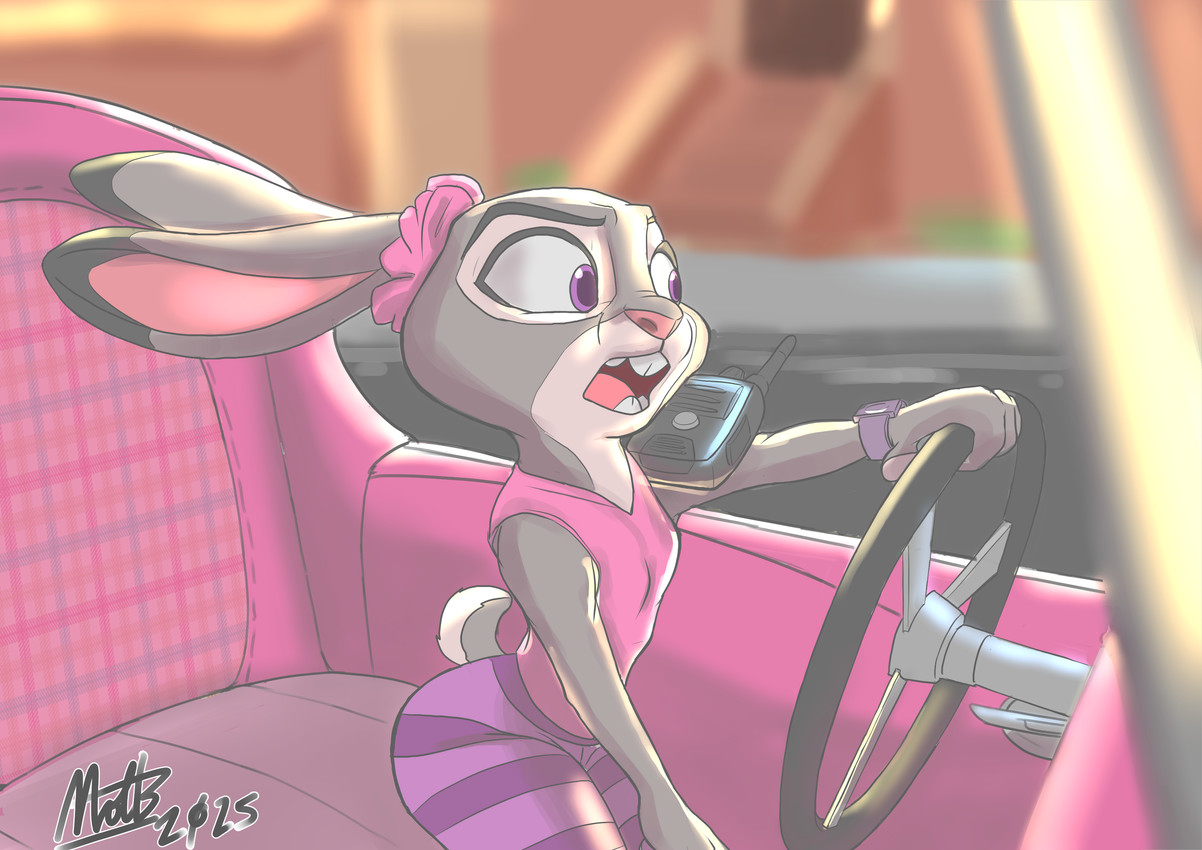 judy hopps (zootopia and etc) created by nickofthebra