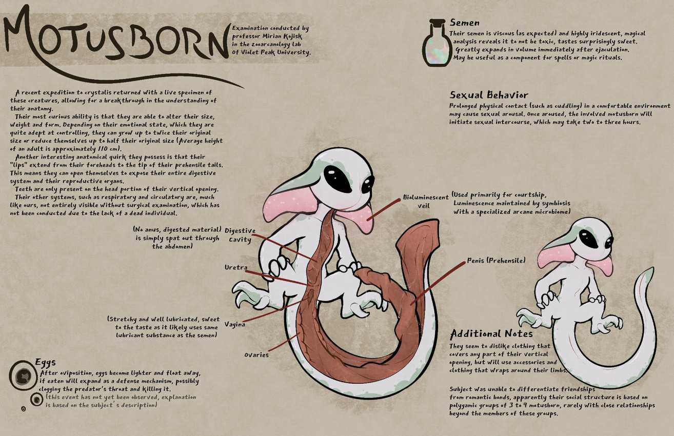 dungeons and dragons and etc created by lizardwizard