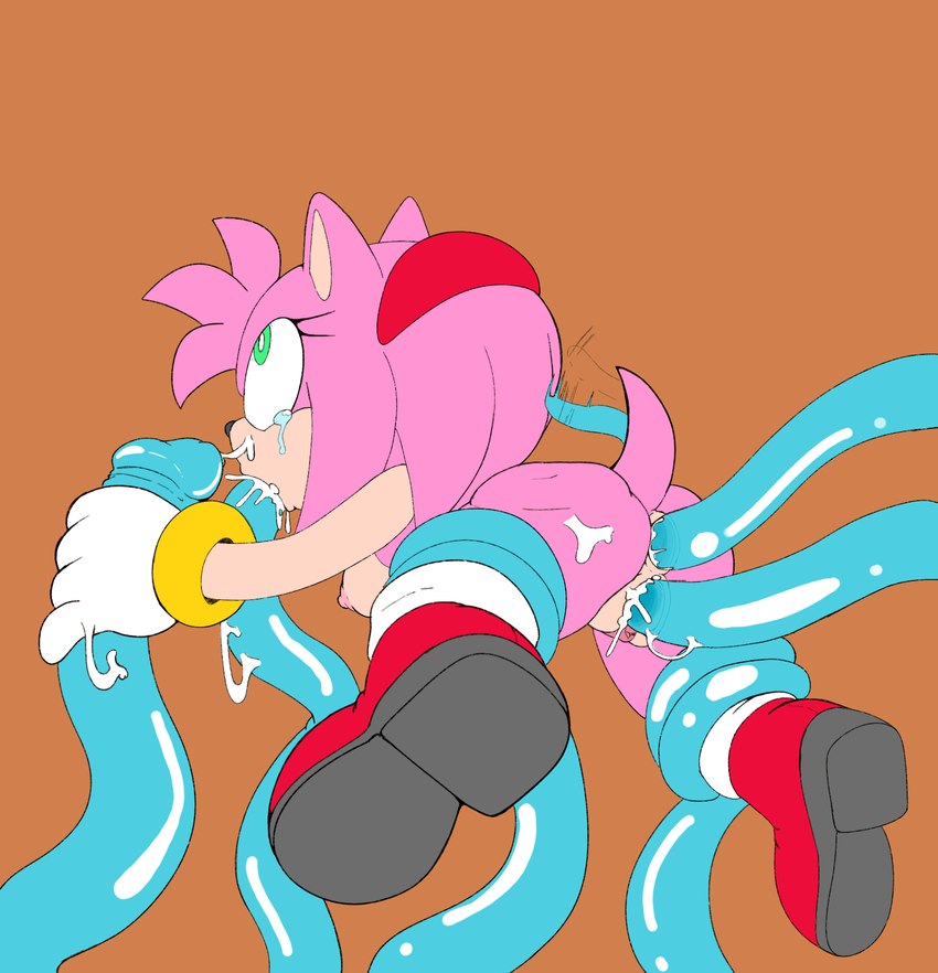 amy rose (sonic the hedgehog (series) and etc) created by neo x6