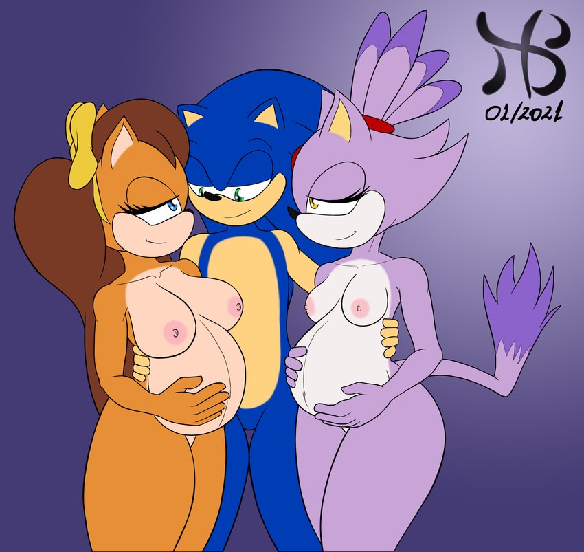 blaze the cat, sonic the hedgehog, and tiara boobowski (sonic the hedgehog (series) and etc) created by hiastobasement