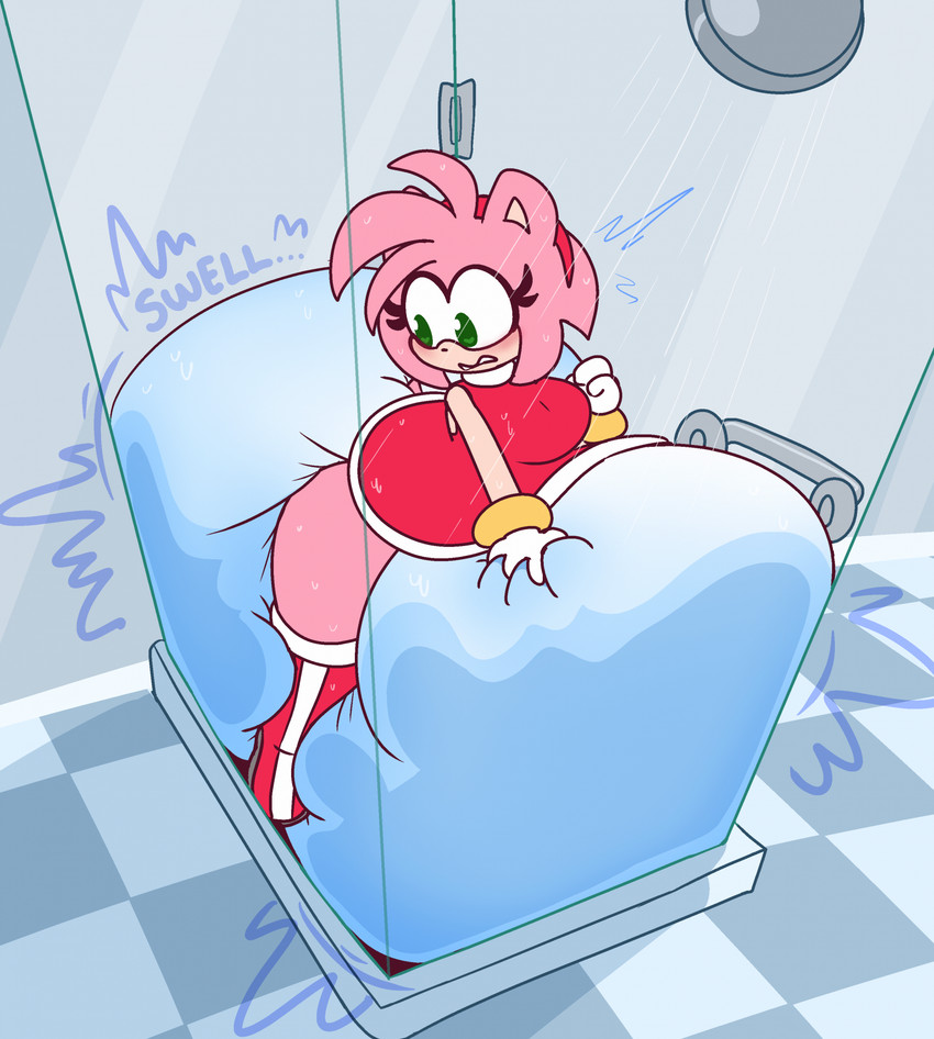 amy rose (sonic the hedgehog (series) and etc) created by dummydoodles