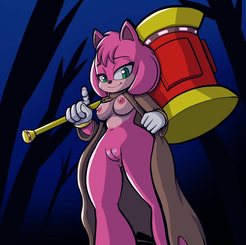 amy rose (sonic the hedgehog (series) and etc) created by fourssss