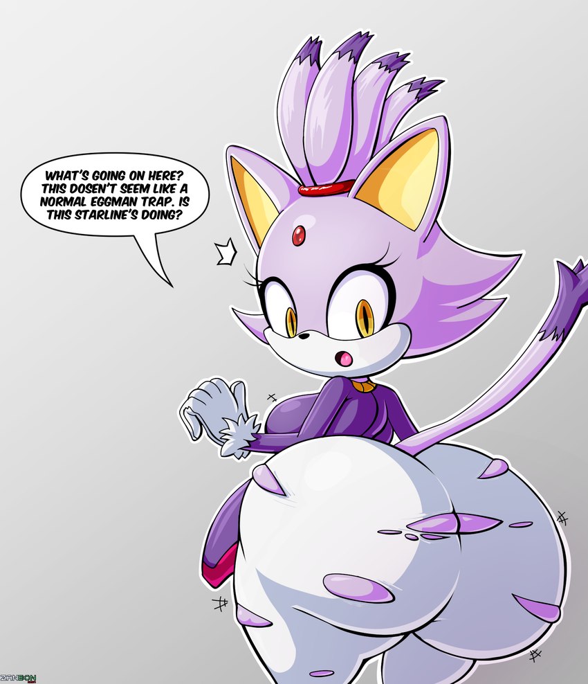 blaze the cat (sonic the hedgehog (series) and etc) created by zanbonsen