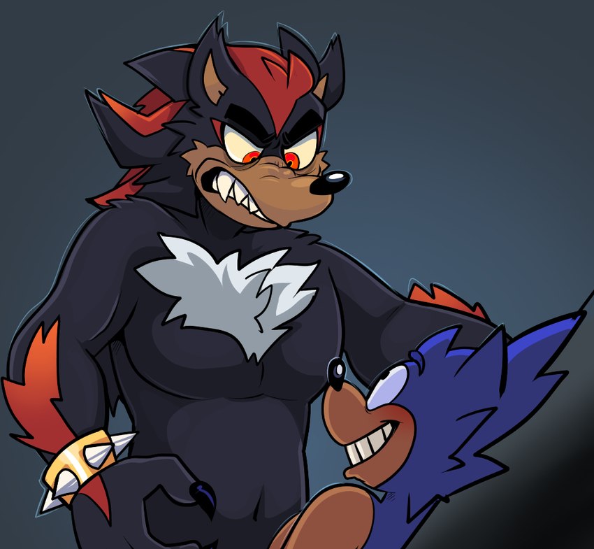 shadow the hedgehog and sonic the hedgehog (sonic the hedgehog (series) and etc) created by beastofeuthanasia