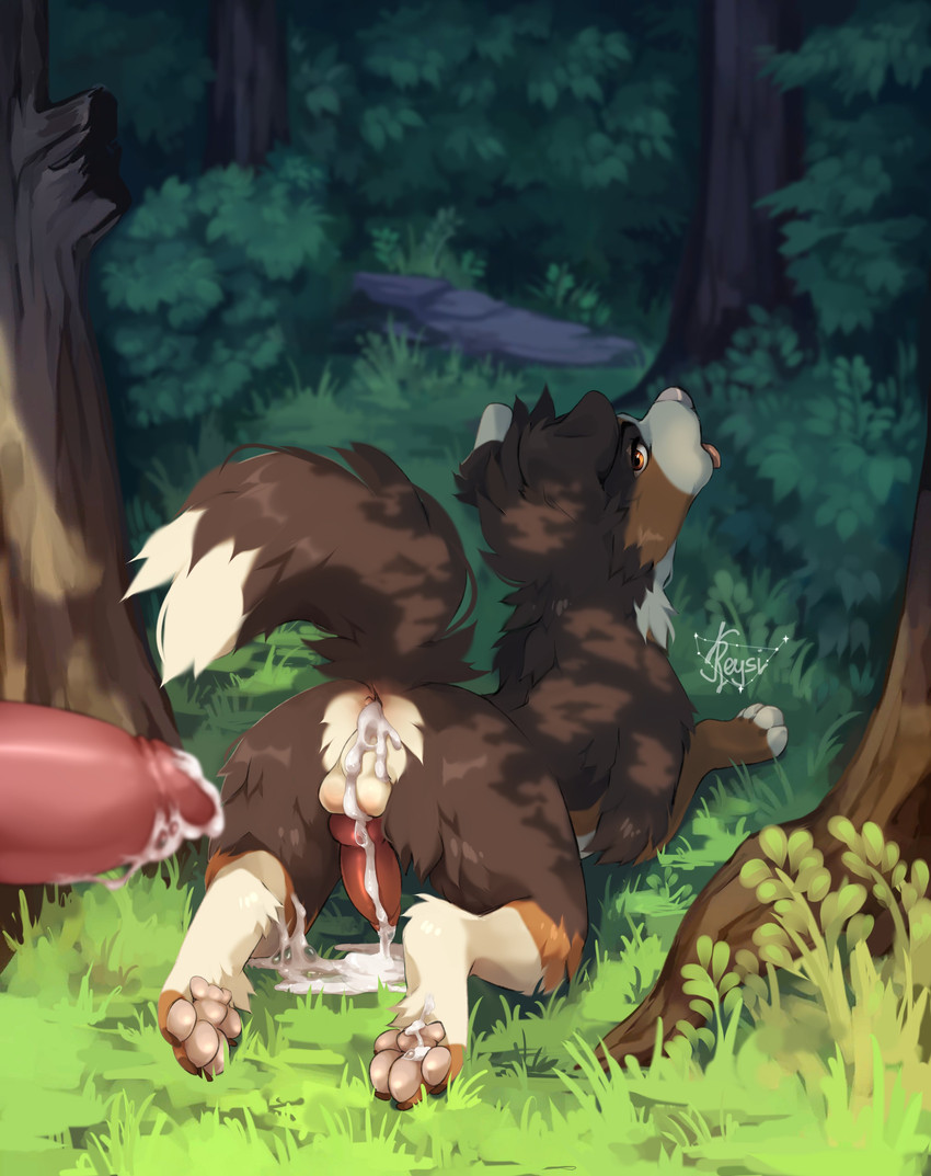 bernie created by reysi