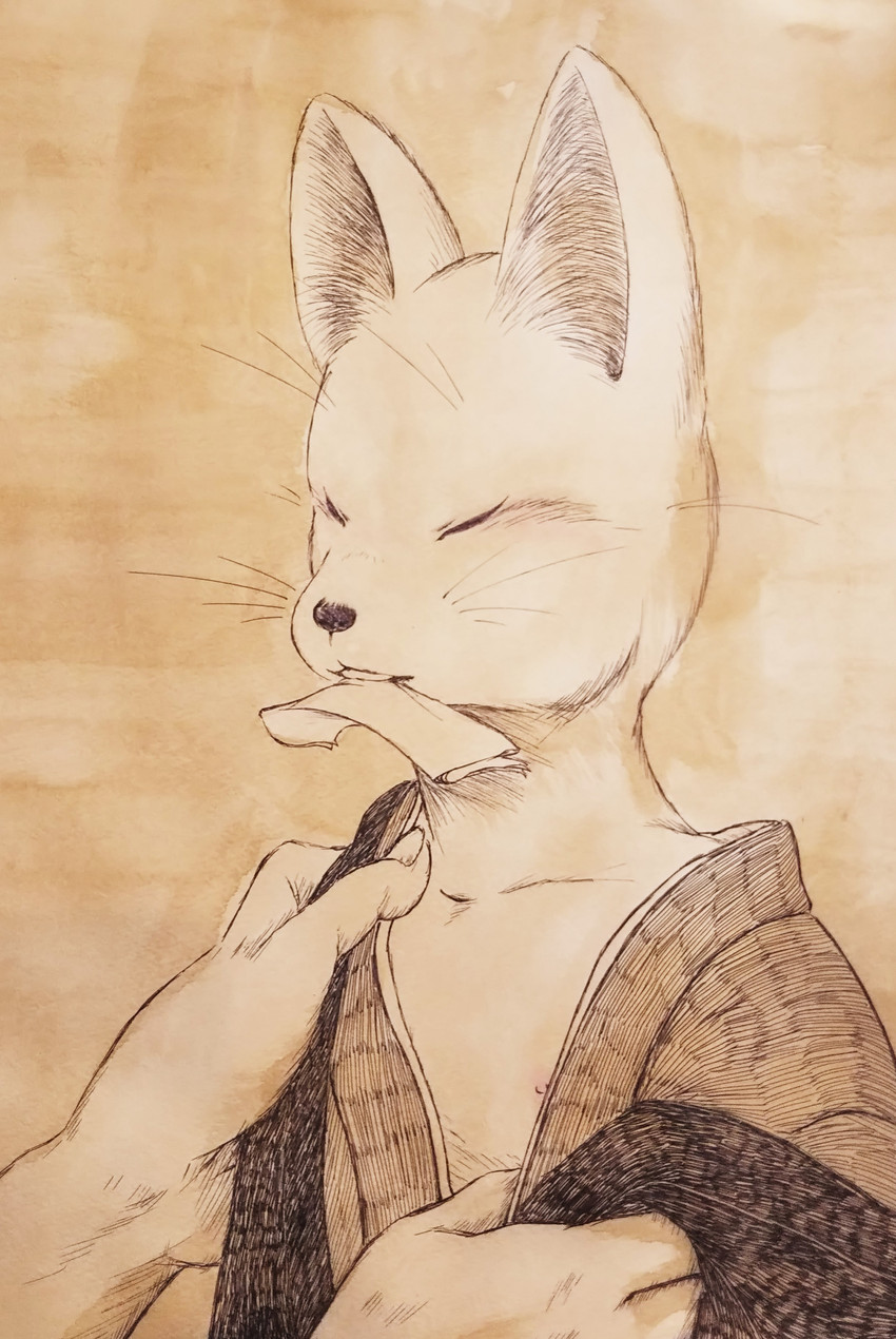 created by konkontei