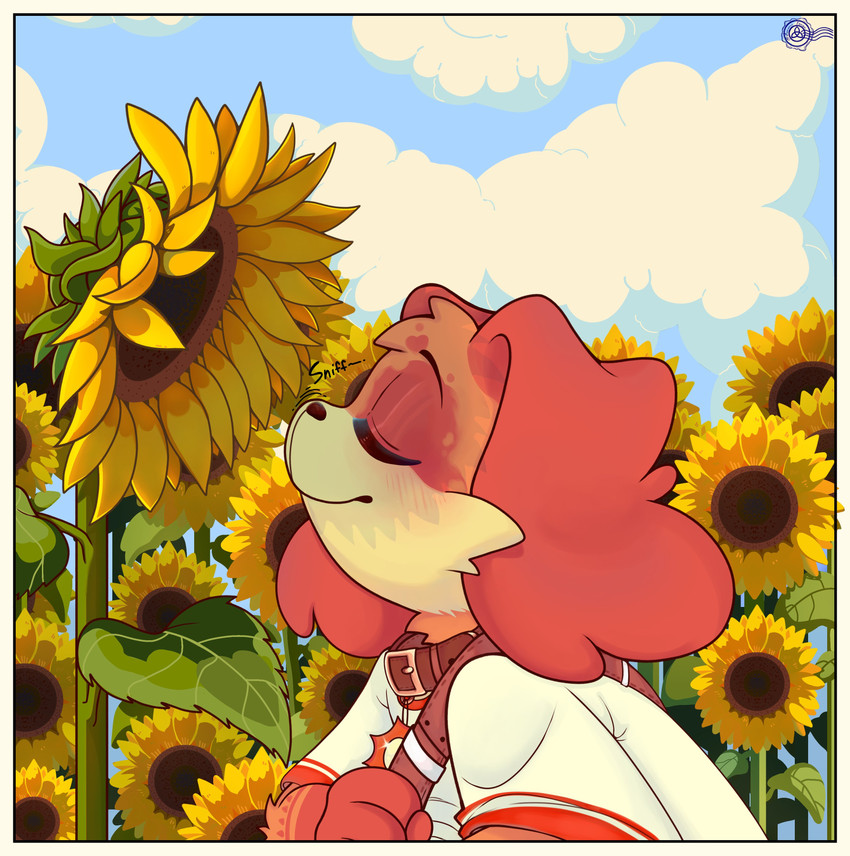 dogday (mob entertainment and etc) created by bonanusfanan