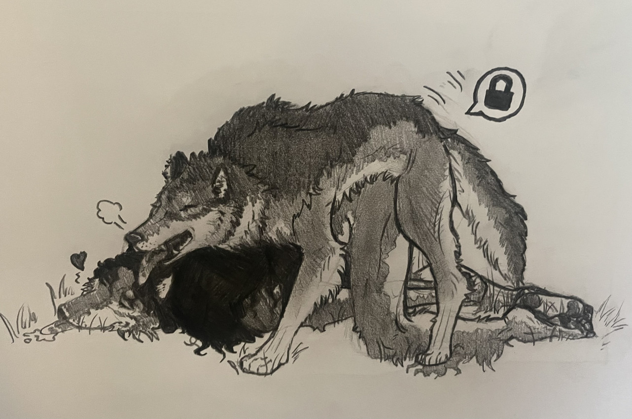 makoyi created by makoyino