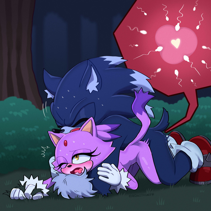 blaze the cat, sonic the hedgehog, and sonic the werehog (sonic the hedgehog (series) and etc) created by ari dibujitos