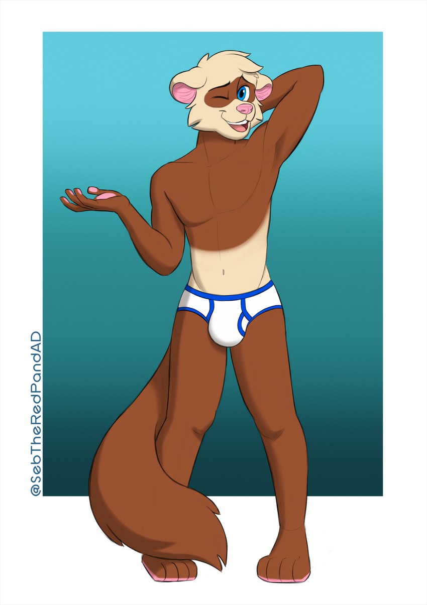 dook ferret created by sebtheredpanda