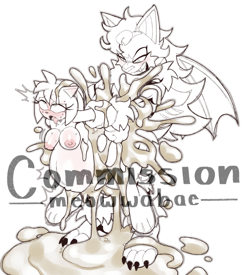 amy rose and fan character (sonic the hedgehog (series) and etc) created by meowwabae