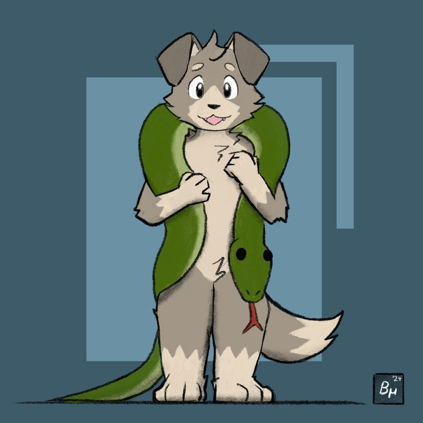 created by bruno borker