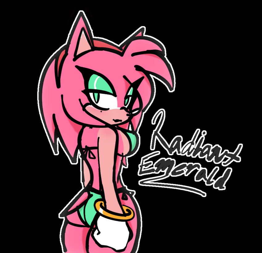 amy rose (sonic the hedgehog (series) and etc) created by radiantemerald