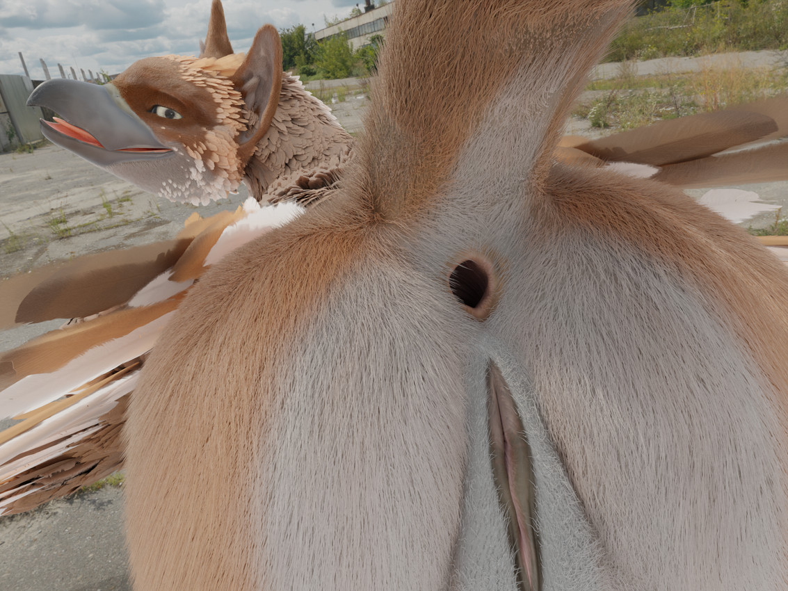 gryphon (mythology) created by racf92